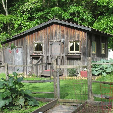 הוילה The Renovated Barn At Seneca Rocks מראה חיצוני תמונה