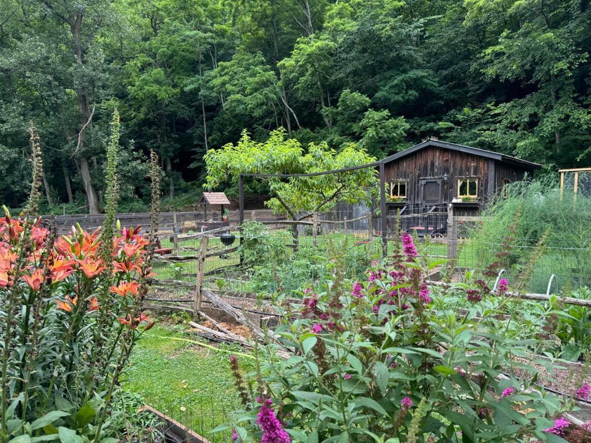 הוילה The Renovated Barn At Seneca Rocks מראה חיצוני תמונה