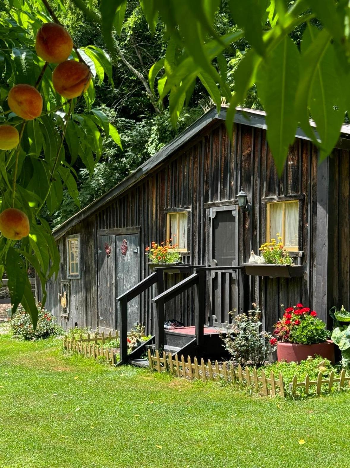 הוילה The Renovated Barn At Seneca Rocks מראה חיצוני תמונה