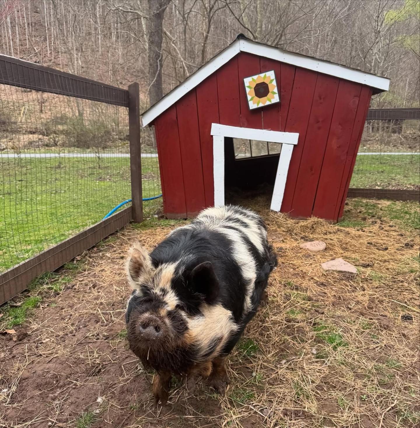 הוילה The Renovated Barn At Seneca Rocks מראה חיצוני תמונה