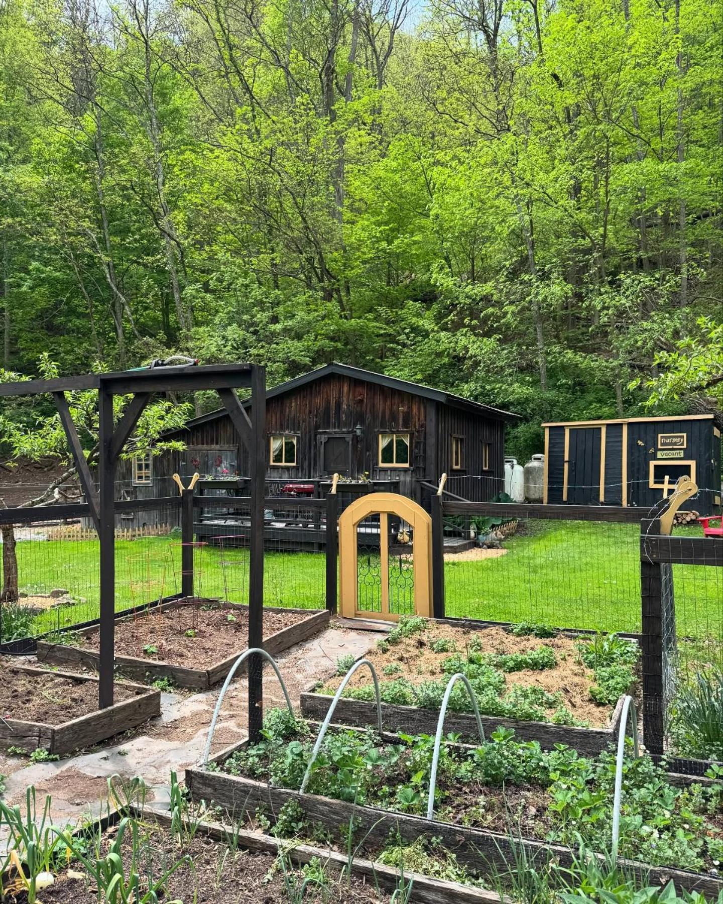 הוילה The Renovated Barn At Seneca Rocks מראה חיצוני תמונה